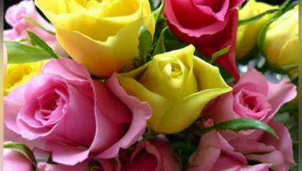 Doob Ke Dariya Mein - Udit Narayan, Poornima - Saajan Chale Sasural (1996)