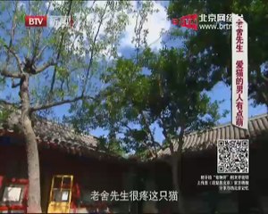 20140721 这里是北京 2014-07-21