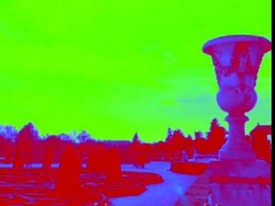 A Psychedelic Tour of Versailles