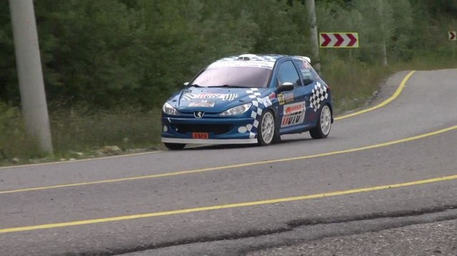 2014 Kartepe Tırmanma / Tansel Karasu / Peugeot 206 RC