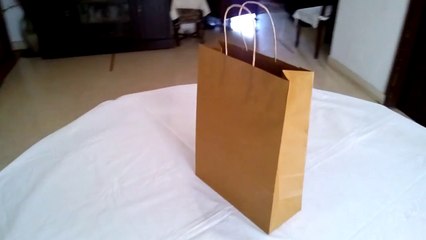Wholesale Brown Carrier Bag with Twisted & Flat Handle