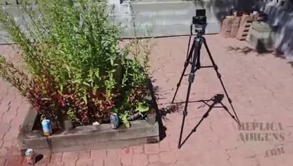 Webley Tempest Ultimate Back Packer Pellet Pistol Review