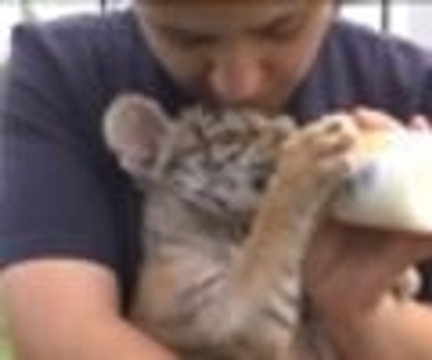 Hayvanat bahçesinin yeni gözdesi