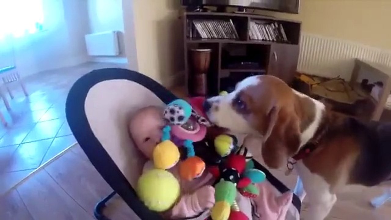 Un chien veut se faire pardonner d'avoir fait pleurer bébé! Trop mignon...