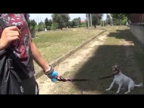 Aversa (CE) - Parco Grassia, protestano anche gli animalisti (21.07.14)