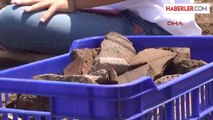 Küçük Arkeologlar Antik Kentte Eser Aradı