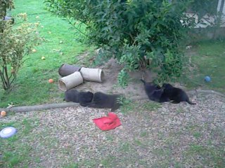 22 juillet 2014 (6,5 semaines)