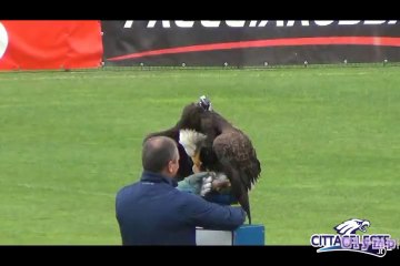 Descargar video: OLYMPIA VOLA E MANGIA - 22 LUGLIO - SS LAZIO AURONZO