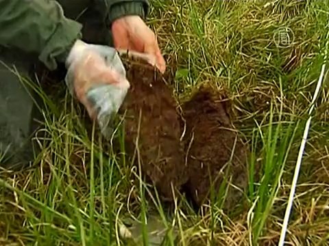 На загадочный кратер в Сибири отправились учёные