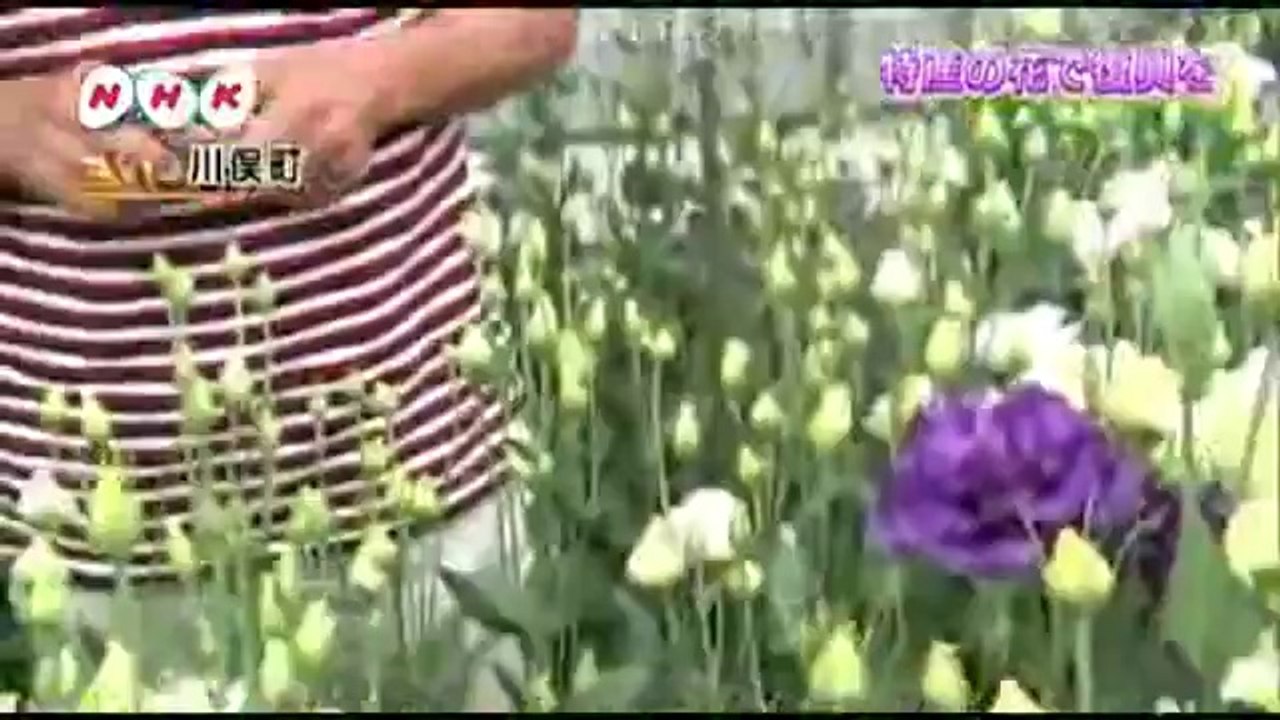 20140722はまなかあいづ