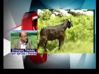 Καταροϊκός πυρετός στην Ευρυτανία