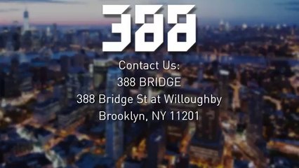 Luxury Condos For Rent Brooklyn - 388 Bridge