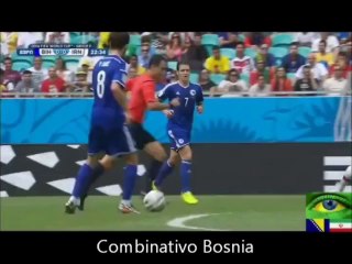 Goles Bosnia Mundial Brasil 2014