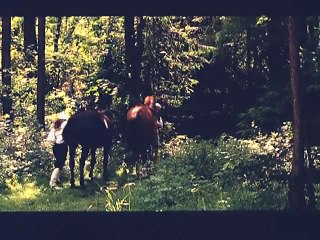 Savage Lagoon (1999) - (Horror, Drama)