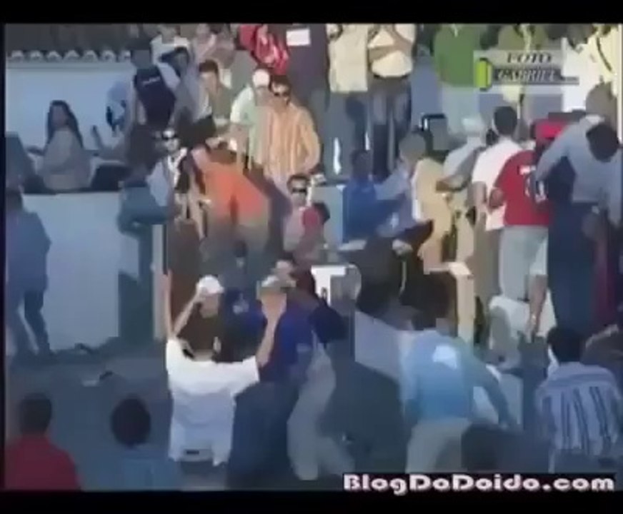 Bull running around hitting people