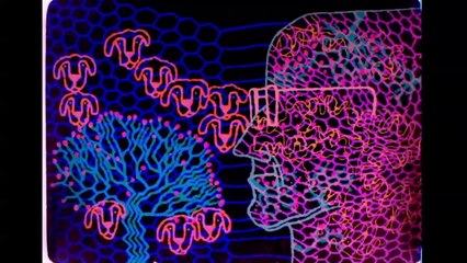 Is the Man Who Is Tall Happy? Official Trailer (HD) Documentary, Michel Gondry