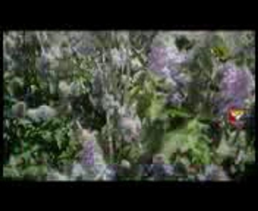 2014 IAAF World Junior Track and Field Championships Live Stream