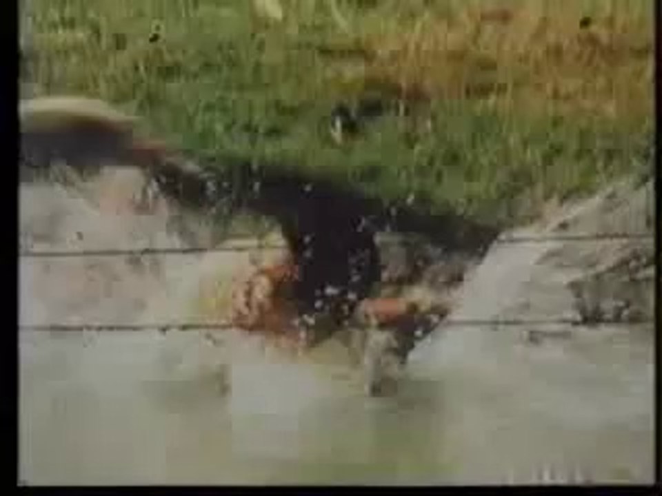 Horror Safari Trailer 1982