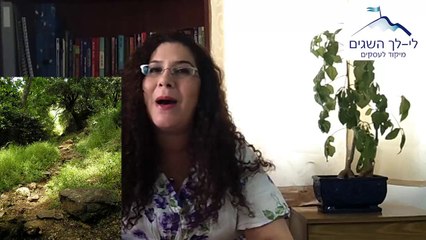 ייעוץ עסקי} איך לשפר את התוצאות בעסקי}