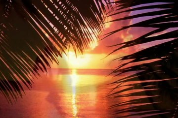 ピアノソロ　「ALONE AGAIN」　杉山清貴＆オメガトライブ