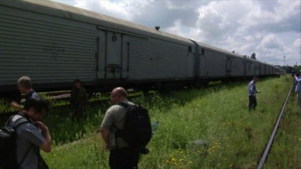 Les victimes du vol MH370 bientôt en route pour les Pays-Bas