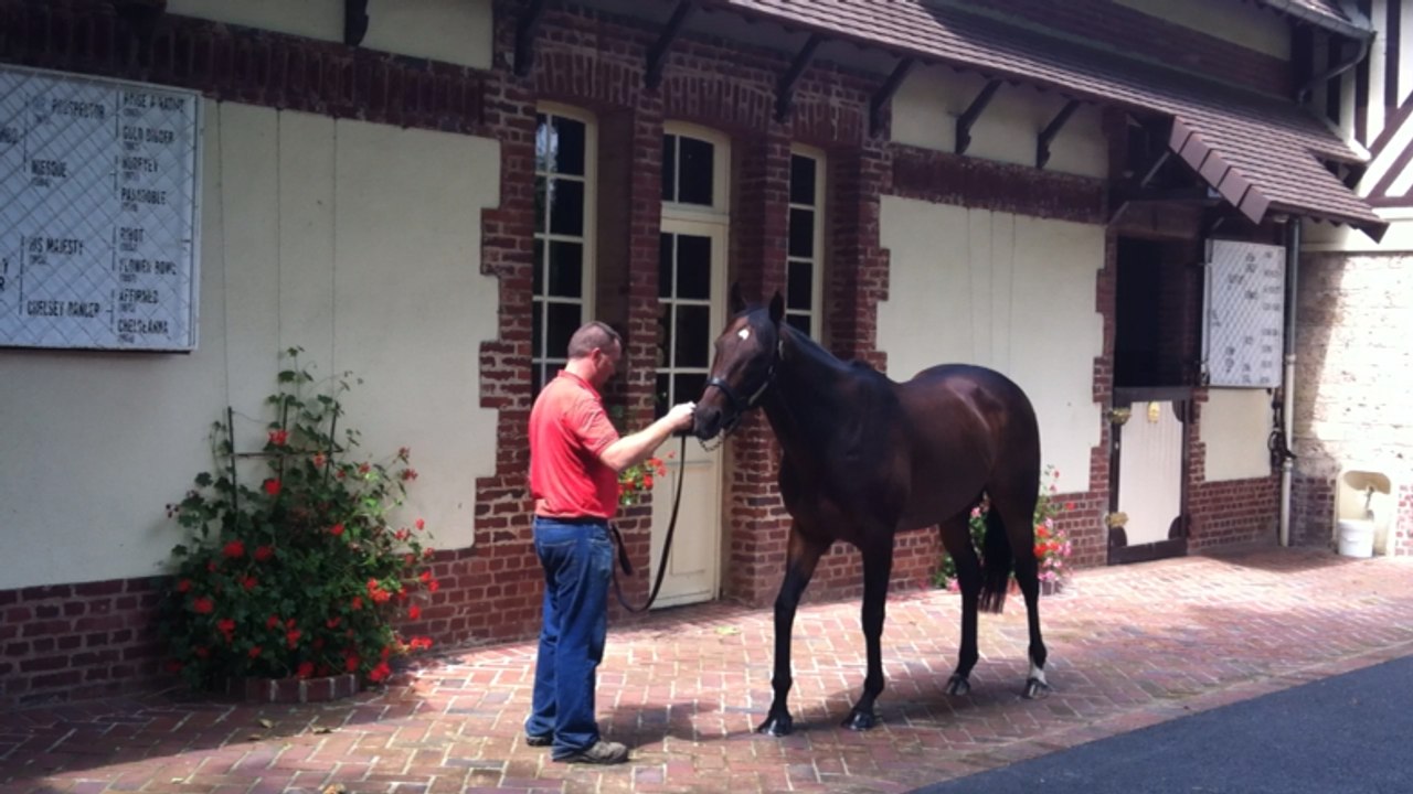 Visite du haras du Quesnay