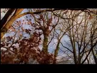Trailer "500 Almas"