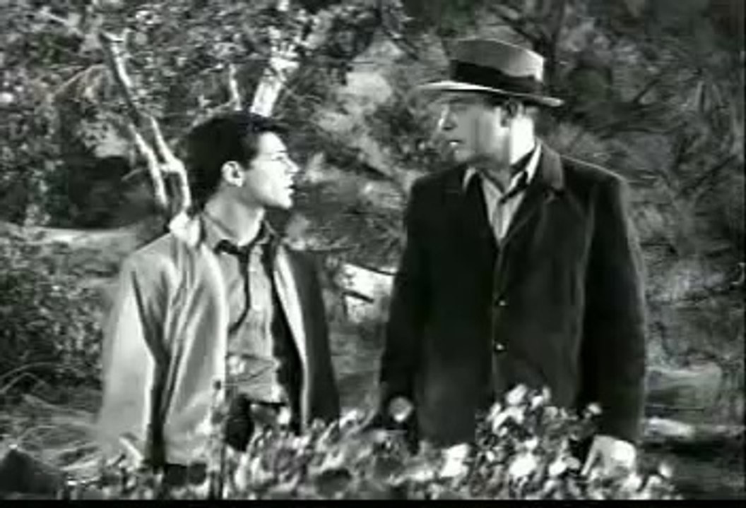 Panic In The Year Zero (1962) American Nuclear Holocaust [full movie]