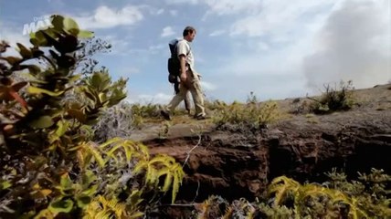 Hundira Hawaii a Los Angeles Como funciona la Tierra Trailer