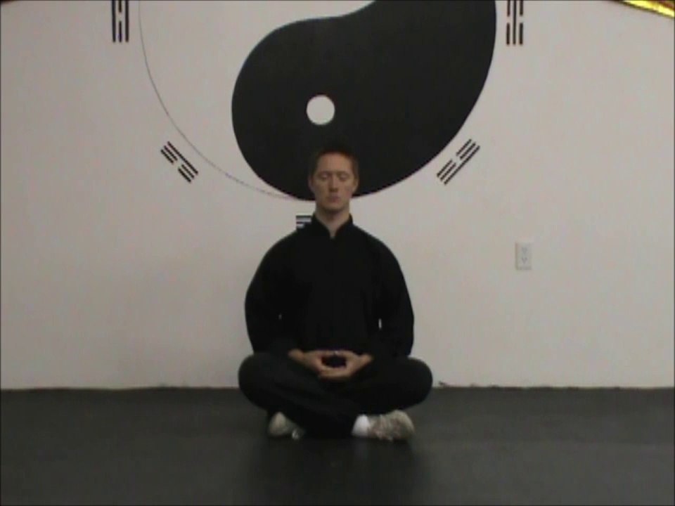 20 Min. Daily Seated Meditation/Qigong Follow-Along