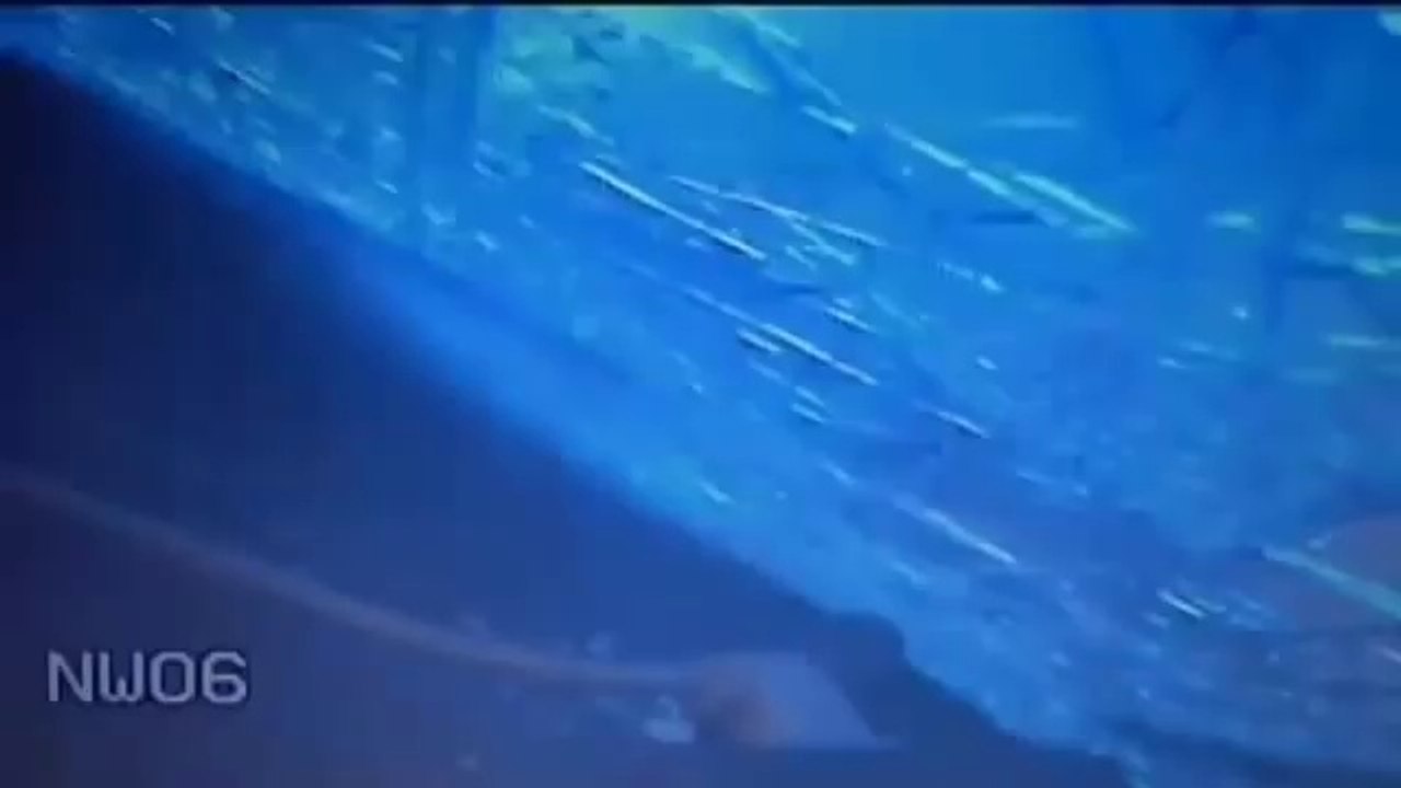 Dashcam Shows Fatal Accident Involving Police Cruiser