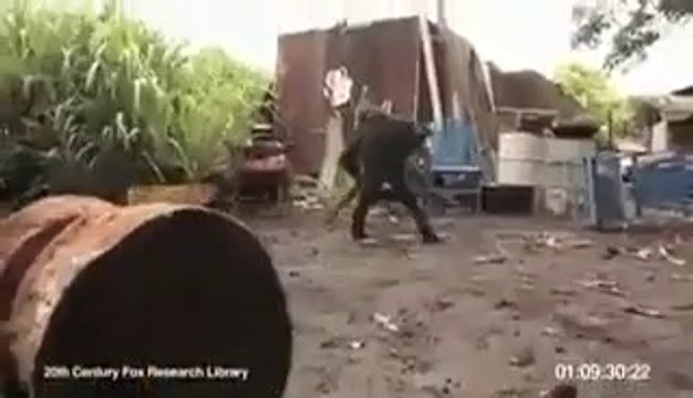 Monkey Firing AK 47