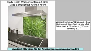 Berichte Bewertungen Wassertropfen auf Gras Glas Spritzschutz 70cm x 75cm