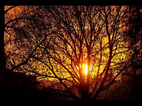 MÜSLÜM GÜRSES müzik ziyafeti albümü