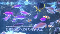 [KIDS] Sudou Maasa & Tsugunaga Momoko - Hello! Channel Aquarium Segment