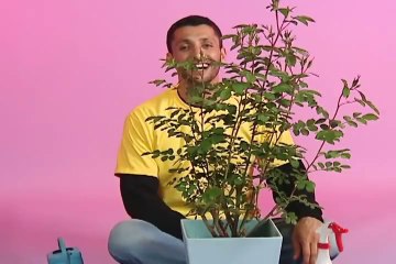 Hurray for Baba Ali - Season 1