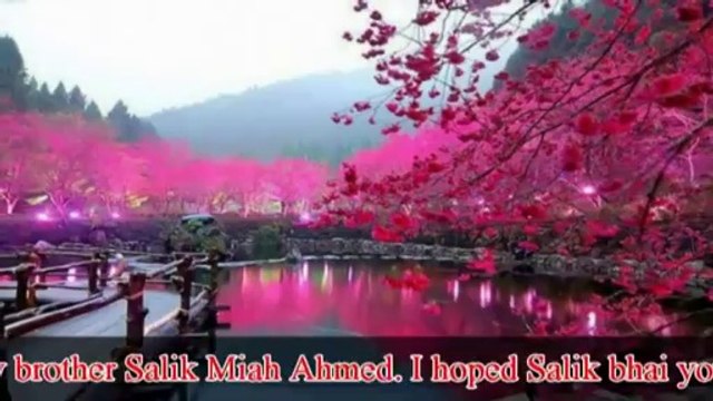 Dekha Jo Tumhe Dil Yeh - Kumar Sanu - The Don (1995)