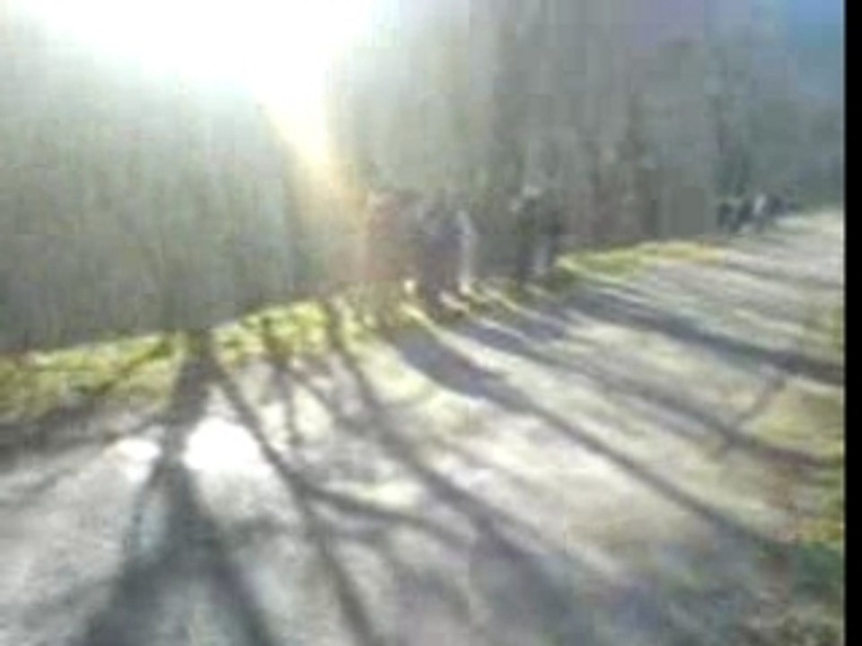 Monte Carlo rallye 2007