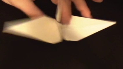 Paper Crane by Reid Baer