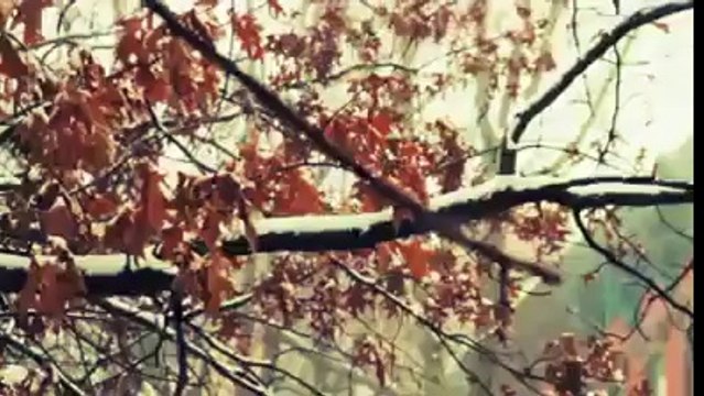 اللہ کون ہے؟ ایک ایسی ویڈیو جسے شیئر کرنے پر آپ مجبور ہوں گے