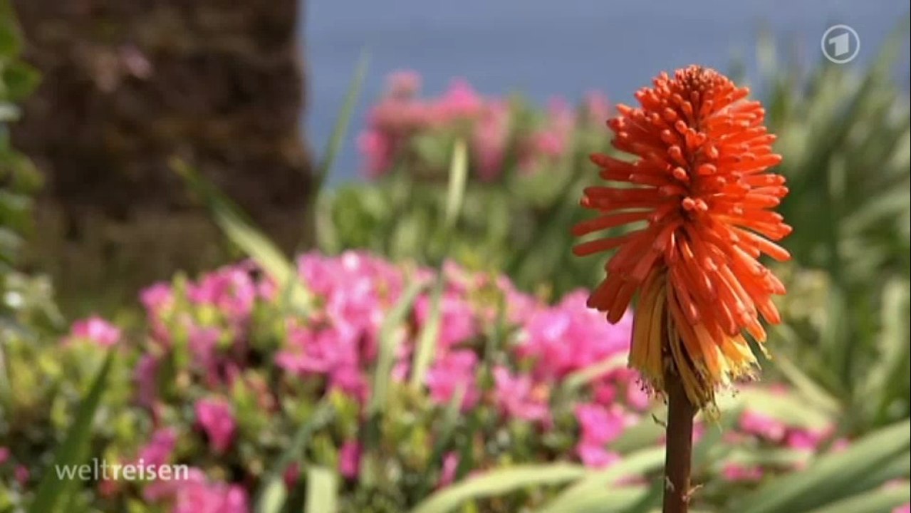Weltreisen - Ein Hoch auf die Azoren