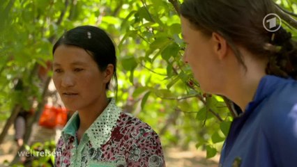 Weltreisen - Mit dem Rad durch China