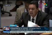 Venezuela exige a Consejo de Seguridad ponga fin a agresión a Gaza