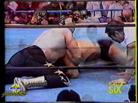 tatsumi fujinami,seiji sakaguchi-masked superstar,don muraco