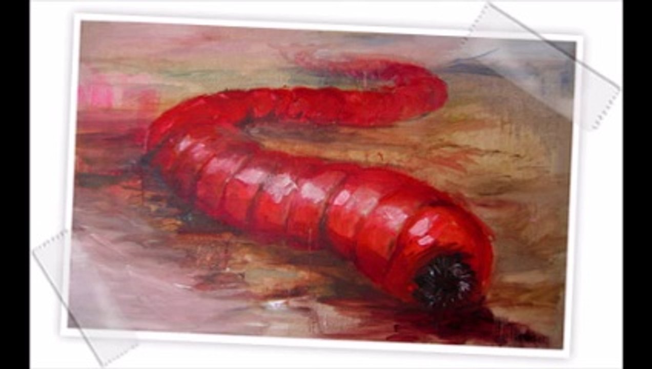 Olgoï-Khorkhoï le ver tueur du désert de Gobi