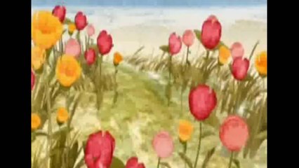 كيف تقضي على الحشرات والذباب والبعوض بدون مبيد حشري