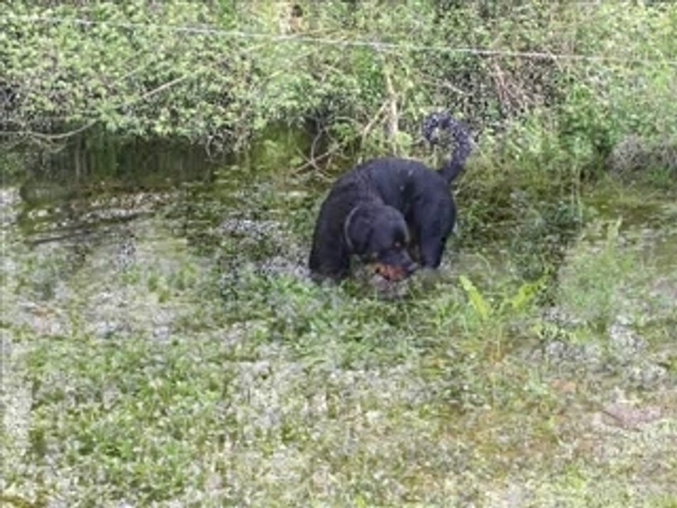 Angie2ans