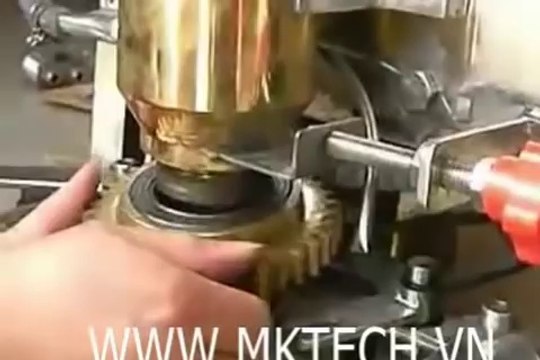 Máy viên thịt, máy làm bò viên, cá viên tự động, máy tạo viên thịt viên cá tự động YR 010, LH 0909134877