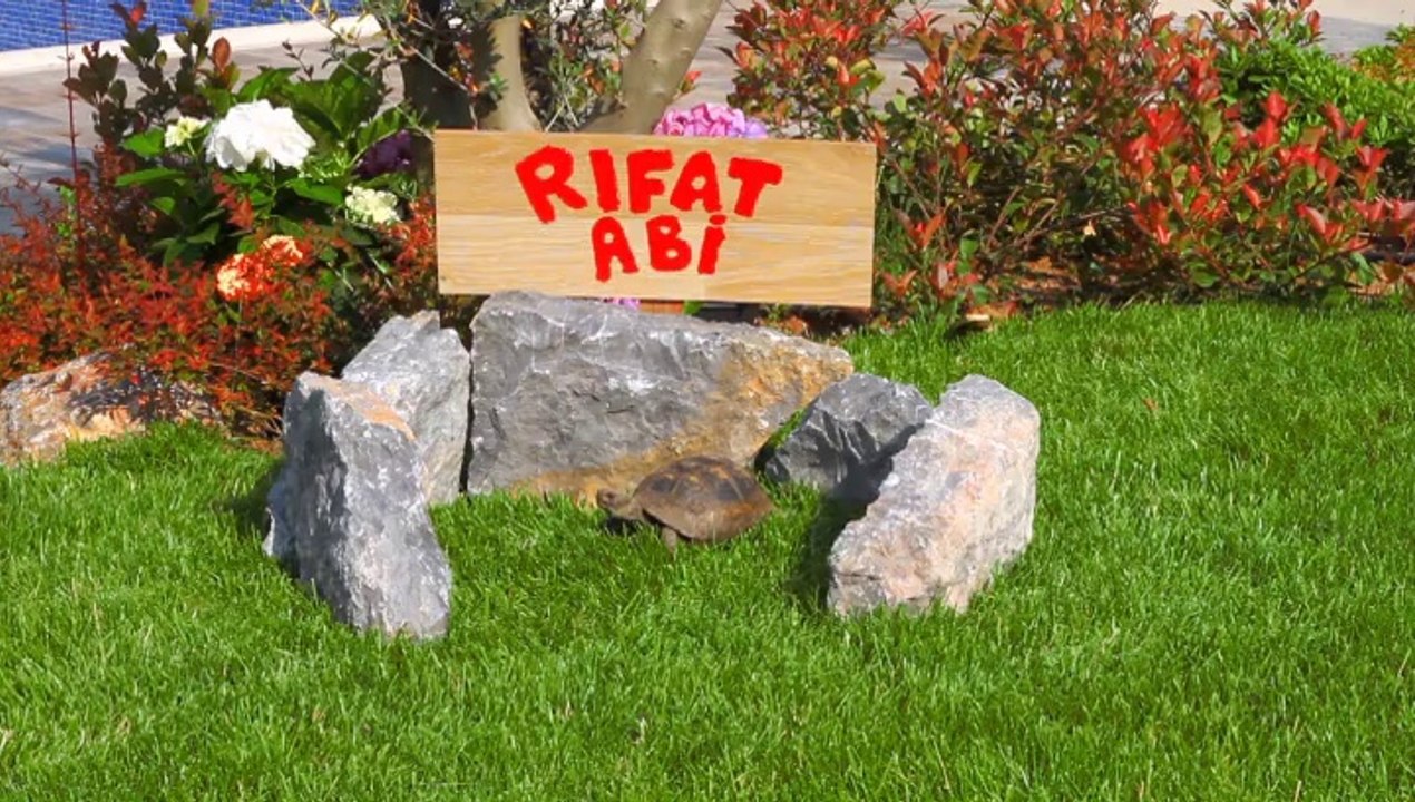 QBahçe Reklam Reklam Filmi (Yeni Projeler)