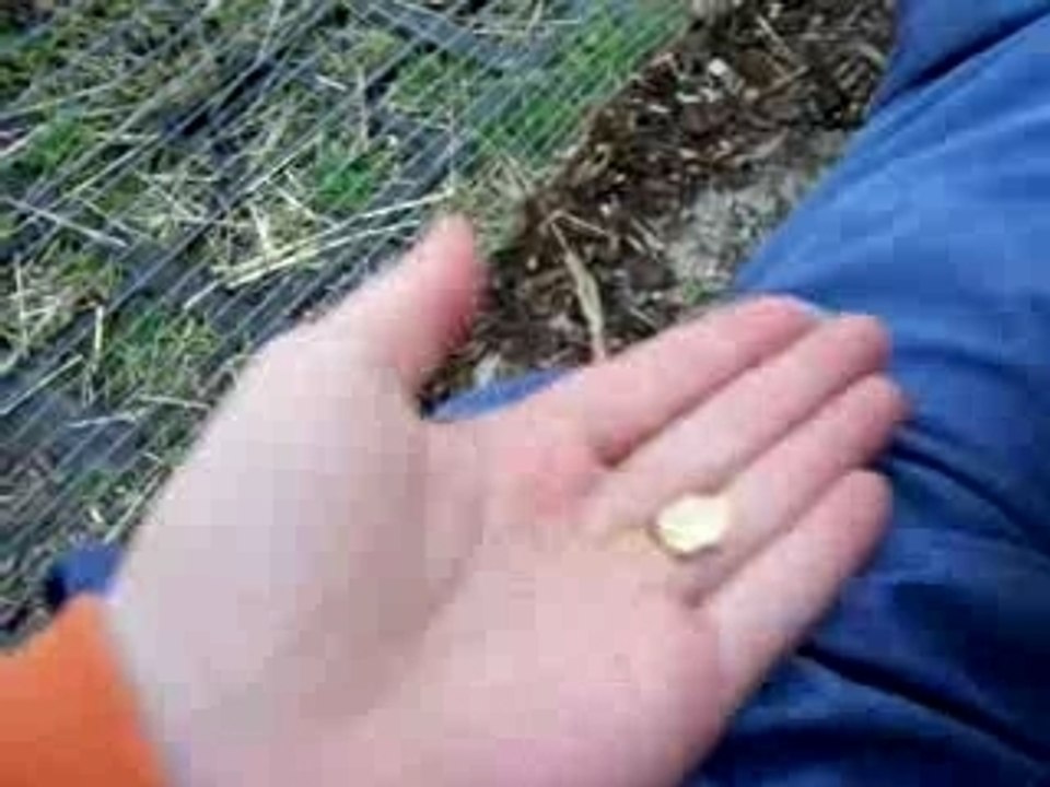 Enrique & Knifte beim Mampfen